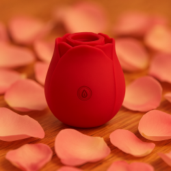 Chisa Novelties – Succhia Clitoride Rosy a Onde di Pressione Ricaricabile USB