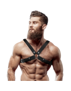 harness-uomo